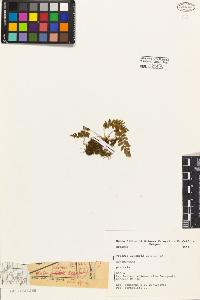SW_BNB_s3080-05113_IMG-0000000001