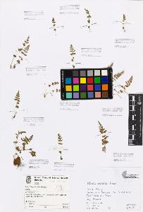SW_BNB_s3080-05114_IMG-0000000001