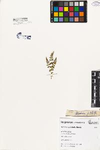 SW_BNB_s3080-05115_IMG-0000000001