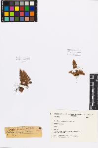 SW_BNB_s3080-05116_IMG-0000000001