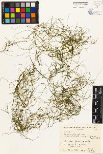 SW_BNB_s3080-05117_IMG-0000000001