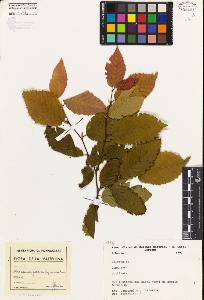 SW_BNB_s3080-05119_IMG-0000000001