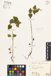 SW_BNB_s3080-05122_IMG-0000000001