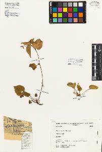 SW_BNB_s3080-05126_IMG-0000000001