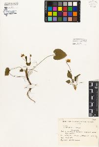 SW_BNB_s3080-05127_IMG-0000000001