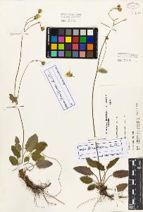 SW_BNB_s3080-05131_IMG-0000000001