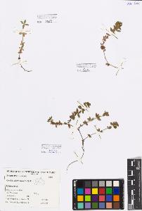SW_BNB_s3080-05136_IMG-0000000001
