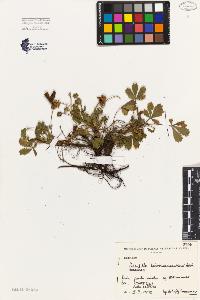SW_BNB_s3080-05147_IMG-0000000001