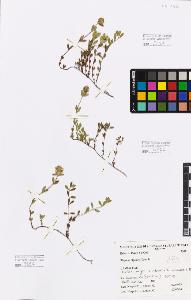 SW_BNB_s3080-05169_IMG-0000000001