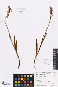 SW_BNB_s3080-05171_IMG-0000000001