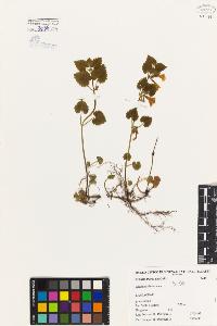 SW_BNB_s3080-05176_IMG-0000000001