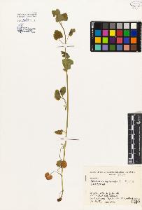 SW_BNB_s3080-05177_IMG-0000000001