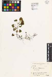SW_BNB_s3080-05180_IMG-0000000001