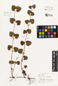 SW_BNB_s3080-05183_IMG-0000000001