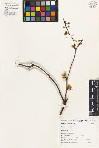 SW_BNB_s3080-05188_IMG-0000000001