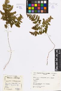 SW_BNB_s3080-05194_IMG-0000000001