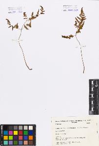 SW_BNB_s3080-05196_IMG-0000000001