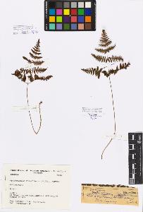SW_BNB_s3080-05197_IMG-0000000001