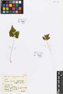 SW_BNB_s3080-05198_IMG-0000000001