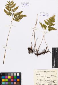 SW_BNB_s3080-05199_IMG-0000000001