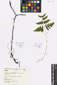 SW_BNB_s3080-05200_IMG-0000000001