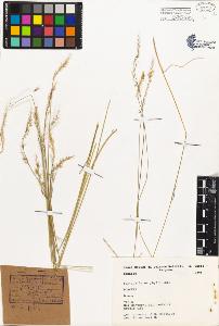 SW_BNB_s3080-05203_IMG-0000000001