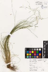 SW_BNB_s3080-05204_IMG-0000000001