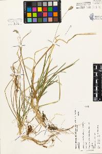 SW_BNB_s3080-05205_IMG-0000000001