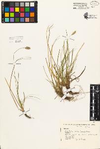 SW_BNB_s3080-05206_IMG-0000000001