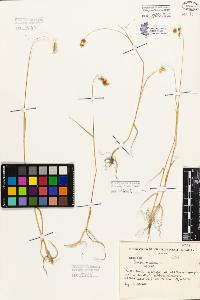 SW_BNB_s3080-05208_IMG-0000000001