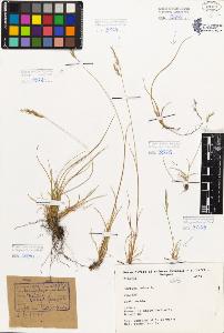 SW_BNB_s3080-05219_IMG-0000000001