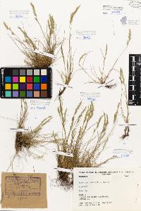 SW_BNB_s3080-05245_IMG-0000000001