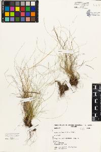 SW_BNB_s3080-05250_IMG-0000000001
