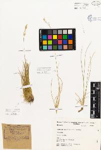 SW_BNB_s3080-05253_IMG-0000000001