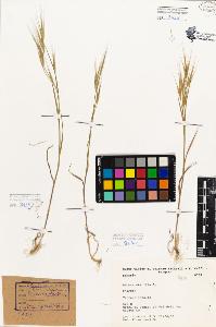 SW_BNB_s3080-05260_IMG-0000000001