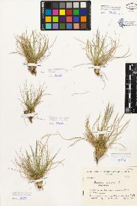 SW_BNB_s3080-05266_IMG-0000000001