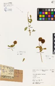 SW_BNB_s3080-05281_IMG-0000000001