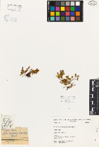 SW_BNB_s3080-05285_IMG-0000000001