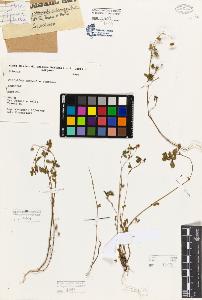 SW_BNB_s3080-05287_IMG-0000000001