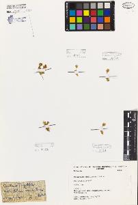 SW_BNB_s3080-05294_IMG-0000000001