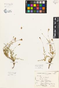 SW_BNB_s3080-05306_IMG-0000000001