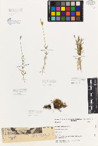 SW_BNB_s3080-05308_IMG-0000000001