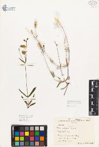 SW_BNB_s3080-05312_IMG-0000000001
