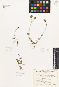 SW_BNB_s3080-05313_IMG-0000000001