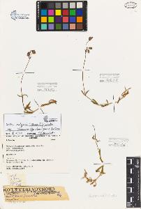 SW_BNB_s3080-05316_IMG-0000000001