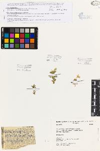 SW_BNB_s3080-05317_IMG-0000000001
