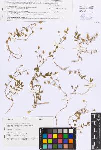 SW_BNB_s3080-05319_IMG-0000000001