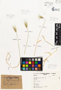 SW_BNB_s3080-05327_IMG-0000000001