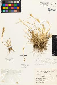 SW_BNB_s3080-05331_IMG-0000000001