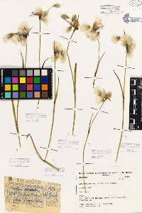 SW_BNB_s3080-05333_IMG-0000000001